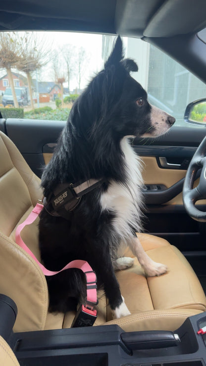 Adjustable Dog Car Seat Belt