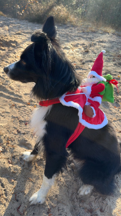 Christmas Dog Costume Funny Christmas Santa Claus Riding on Dog #FF0000
