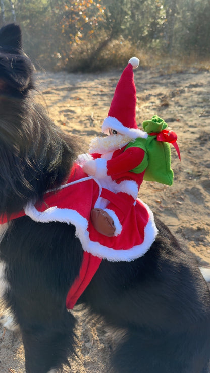 Christmas Dog Costume Funny Christmas Santa Claus Riding on Dog #FF0000